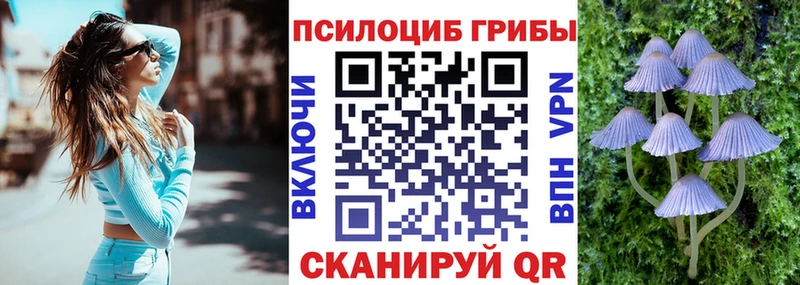 купить наркотики цена Усть-Катав Псилоцибиновые грибы прущие грибы